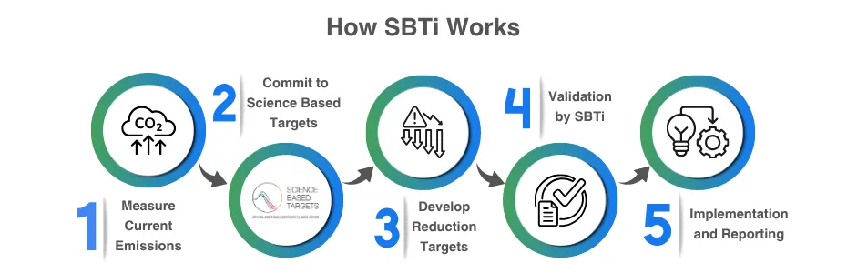 4 Pillars Of Ecovadis(SBTi)