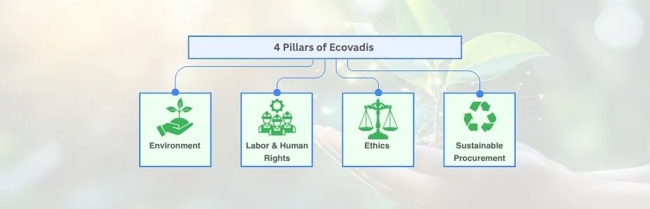 Ecovadis Four Pillar 